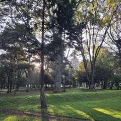 raza, etnia, historia.