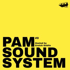 PAM Sound System @RCV99fm - Episode #0 - hosted by Crotch Goblin