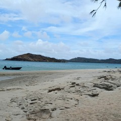 NP HEAVEN - THE STYLE WEEK-END (HORNETS REMIX) 2020