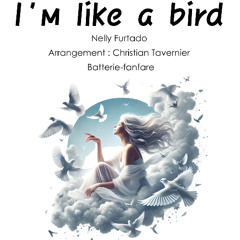 I'm like a bird