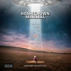 HOMEGROWN MINIMAL 9.0 PART2 - Rich Morgan mix