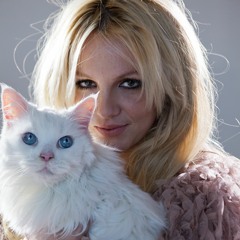 Britney Spears - (Drop Dead) Beautiful