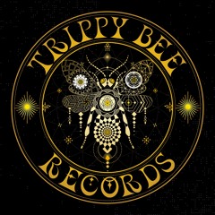 KNOW GOOD & M?STIC - LOWKEY (TRIPPY BEE RECORDS)