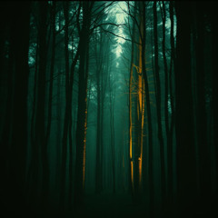 Garn’dûl, makhûr tharn