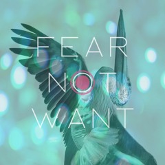 Fear Not Want (Re-Master)