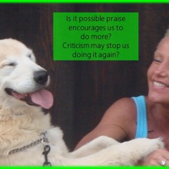 STUPID Suff - How To Stop People Doing It?With Rowie McEvoy