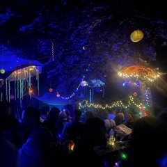 Forest Rave Opening 31.7.25