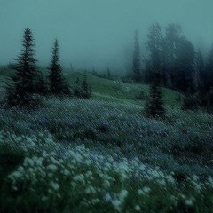 alone (prod. xy1va)