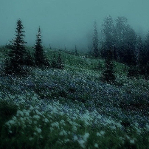alone (prod. xy1va)