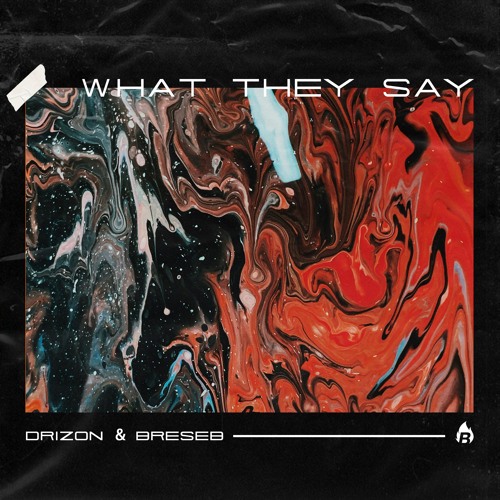 Drizon & Breseb - What They Say