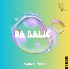 CARNEL TRAP - DABAILE