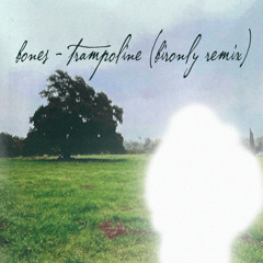 bones - trampoline (bironly remix)
