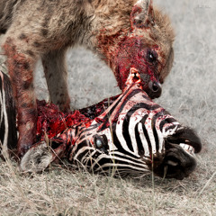 I Don't Give A Fuck Who Played It First