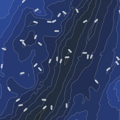 Naviguer à Vue : Le Radeau Consort (16.11.25)