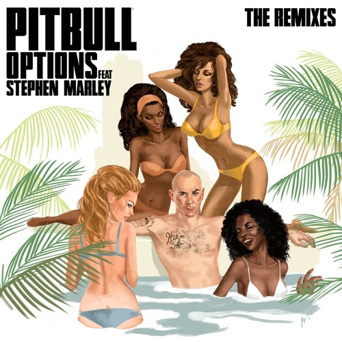 Pitbull feat. Stephen Marley - Options (DJ Noodles Remix)