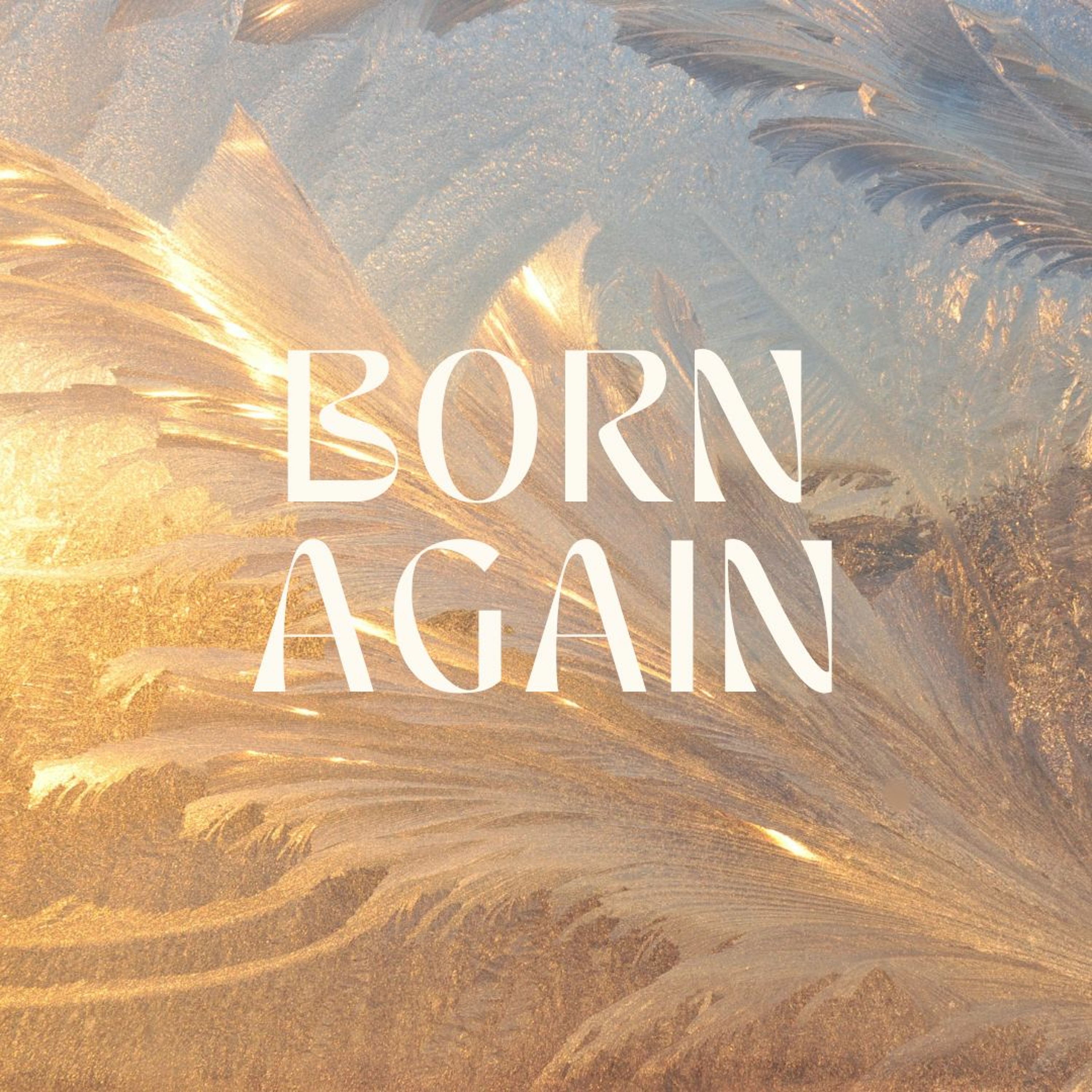Born Again - Freddy S episode artwork