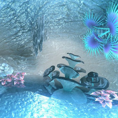 i think i like her.(prod curly)