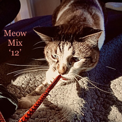 Meow Mix 12  crate diggin' via BPM's