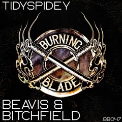 TidySpidey - Beavis & Bitchfield Promo Edit