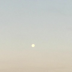 The Bull and The Voyeur (NTR Edit)(feat. Mindbreak)