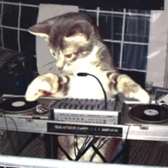 ElectroLisa b2b Kasuria @ LBYRNTH5 Barfloor @ Sektor Evolution