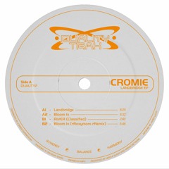 Premiere: Cromie - Bloom In (rRoxymore rRemix) [Duality Trax]