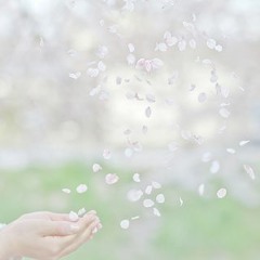 [자작곡] "봄은 다시 찾아올거야" (Spring will come again) 피아노 Piano - Epiary (에피어리)