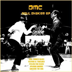Soul Shaker EP