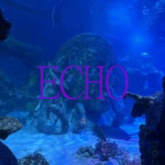 Call Me Dead x vae - Echo