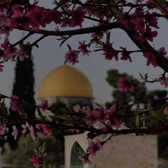 ‎⁨مَا نسينَا خَبّرُوها كيف يَنساهَا الوَلُوع ! | يُوسف مَغربي.