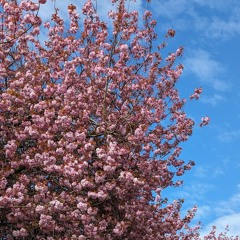 Friday Mix 2024-07-19