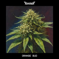 Orange Bud