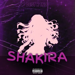 Shakira (prod. 33nimb)