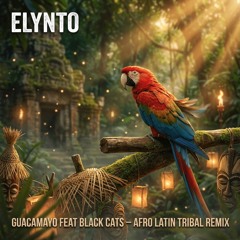Elynto - Guacamayo feat Black Cats [Afro Latin Tribal Remix]
