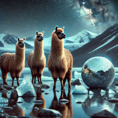 Beats im frostigen Andenhochland mit dem ALPAKA