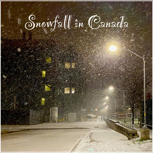 Snowfall in Waterloo