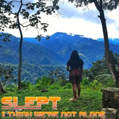 I Think We're Not Alone (Snippet)sleptbeats.bandcamp.com/album/i-think-were-not-alone