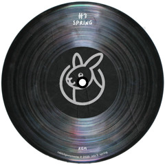 RGM#3 SPRING