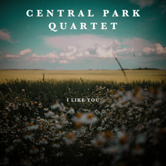 I Like You