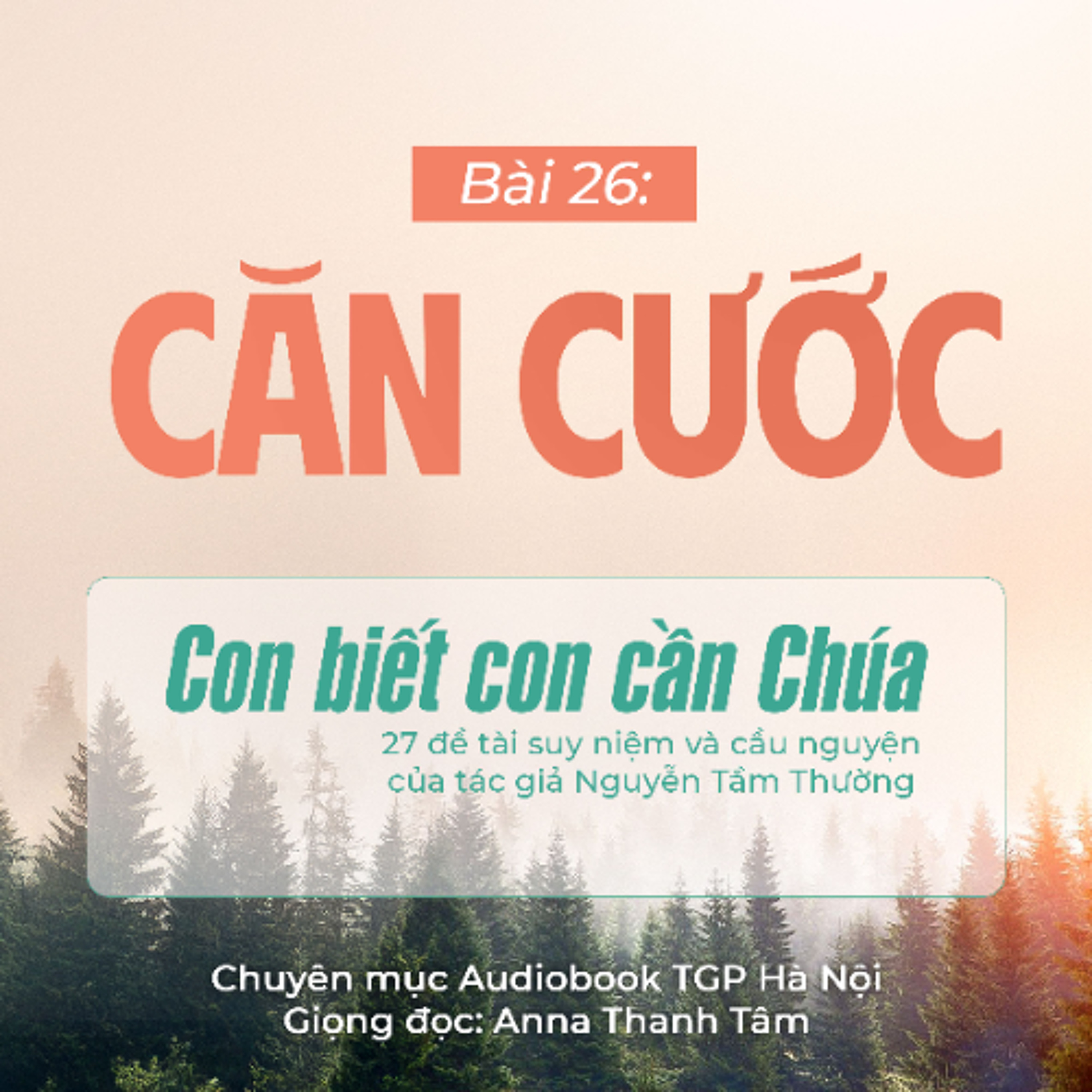 #26 Căn cước || Con biết con cần Chúa || Tác giả Nguyễn Tầm Thường