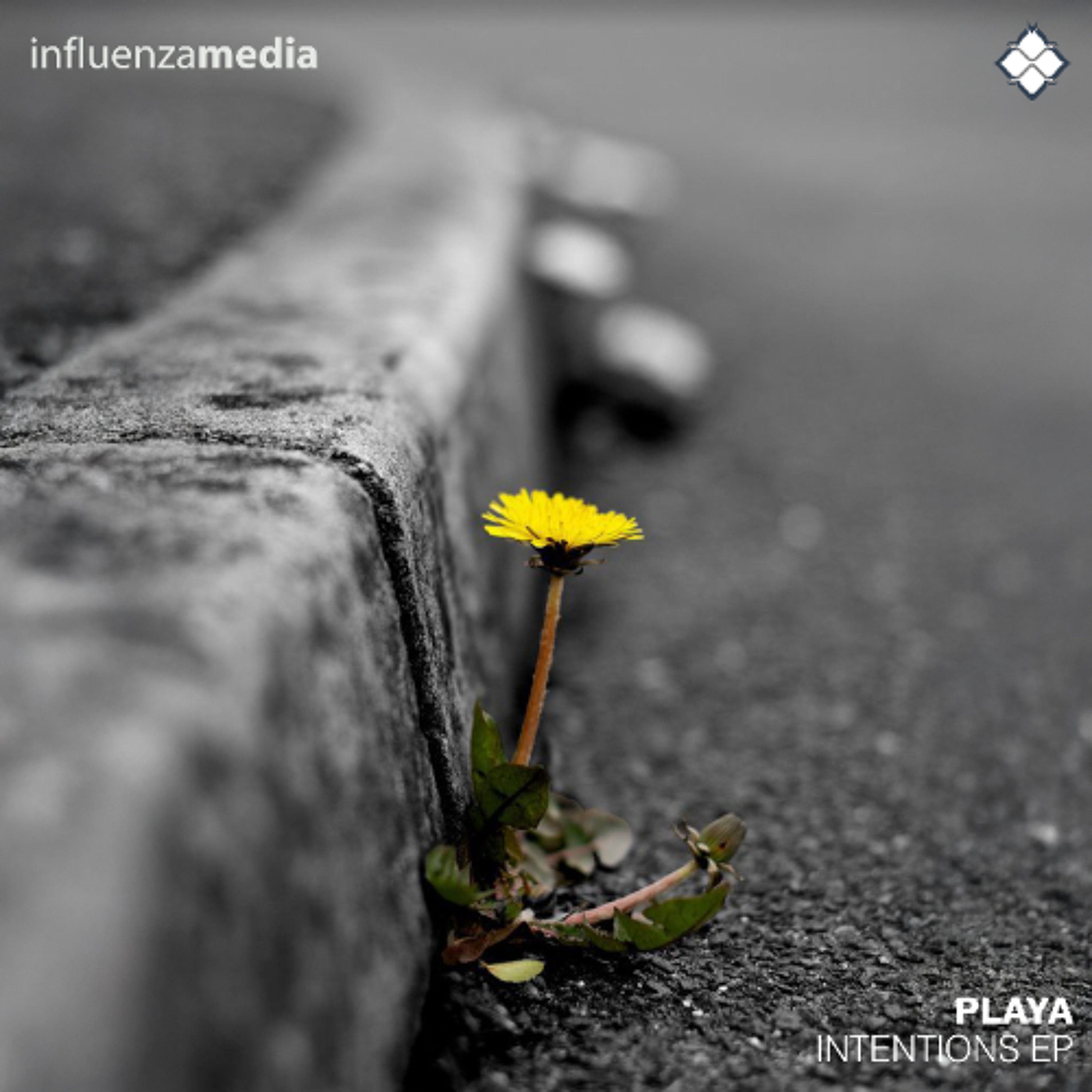 Playa - Lessons Learned episode artwork