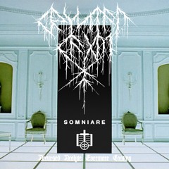 Crystal Cage / Somniare - In Reflected Planes