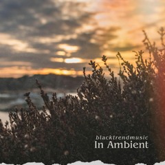 BlackTrendMusic - In Ambient (FREE DOWNLOAD)