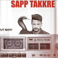 Sapp Takkre || TT30 || Pavvy Dhanjal || New Punjabi Song || 2024 ||.mp3