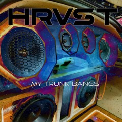 My Trunk Bangs