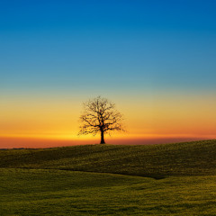 Autumn on Neptune - Chapter Seven