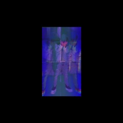 LIEL X DISQUISE
