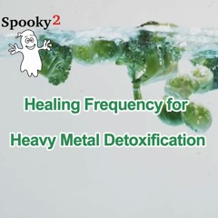 Healing Frequency For Heavy Metal Detoxification - Spooky2 Rife Frequency Healing