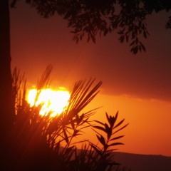 Summerthing