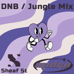 Midge - Sheaf St DNB/Jungle Mix
